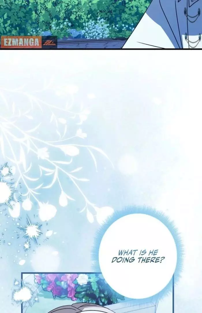 The Count's Beloved Contract Young Lady Chapter 6 page 6