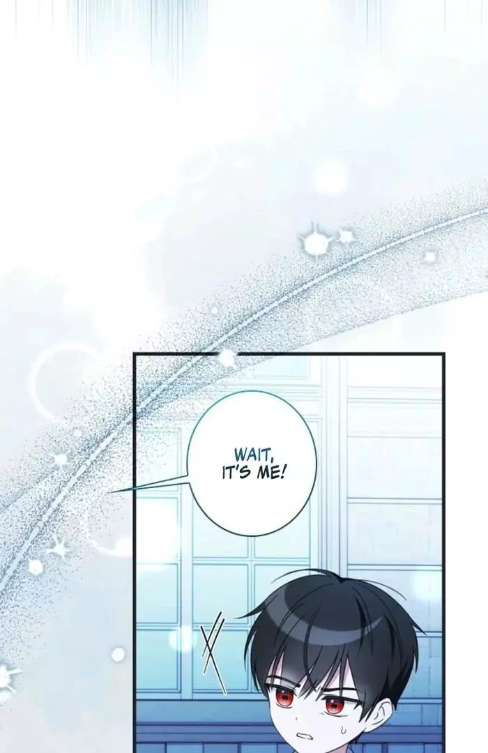 The Count's Beloved Contract Young Lady Chapter 6 page 11