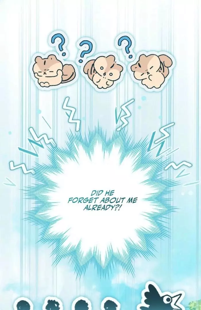 The Count's Beloved Contract Young Lady Chapter 6 page 136