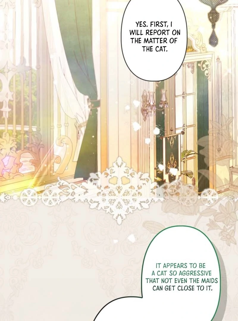 I Will Not be Overshadowed by my Twin Sister in This Life Chapter 7 page 29