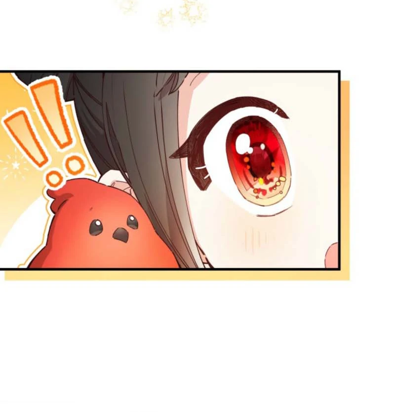I Will Not be Overshadowed by my Twin Sister in This Life Chapter 7 page 12