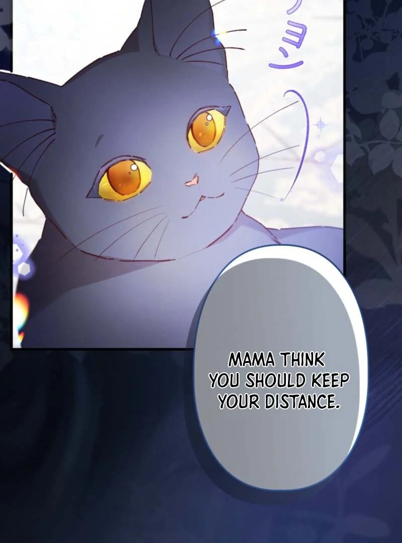 I Will Not be Overshadowed by my Twin Sister in This Life Chapter 7 page 67