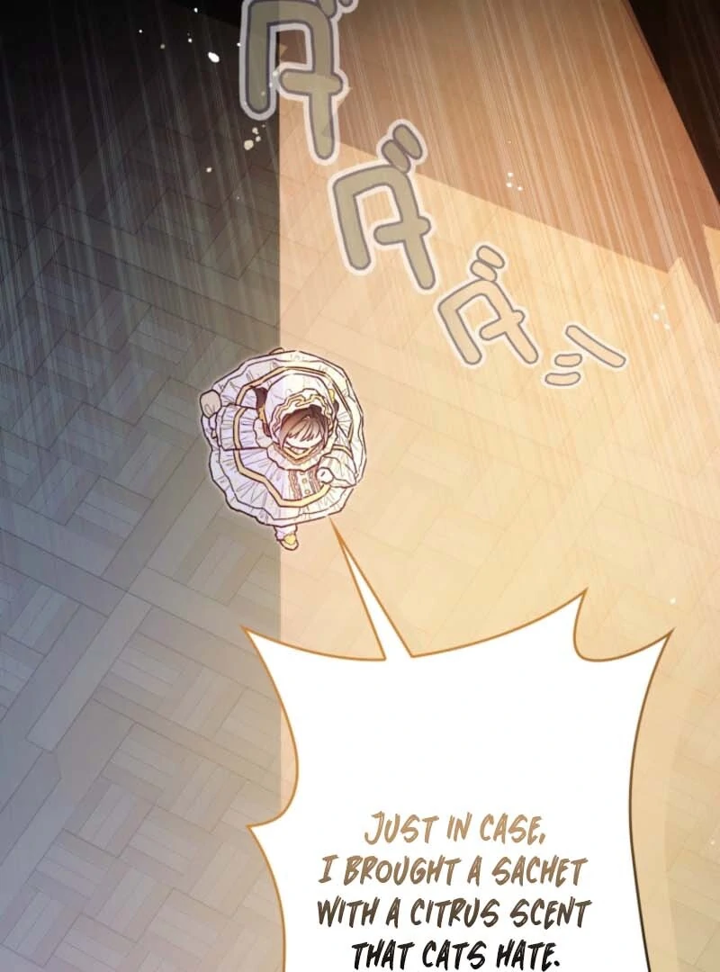I Will Not be Overshadowed by my Twin Sister in This Life Chapter 7 page 112