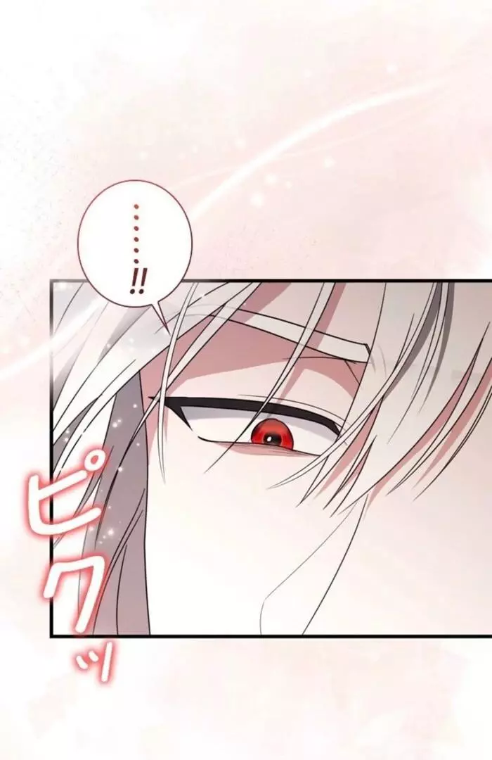 The Count's Beloved Contract Young Lady Chapter 8 page 82