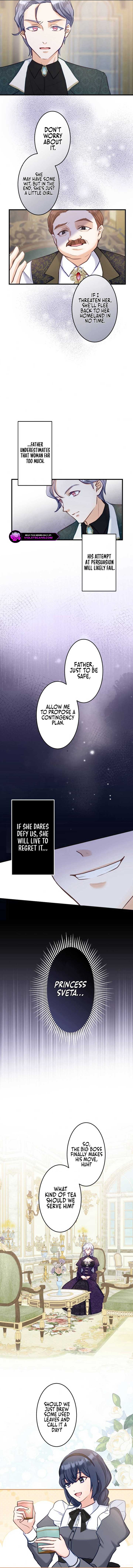 Princess Sveta’s Political Marriage Chapter 9 page 3