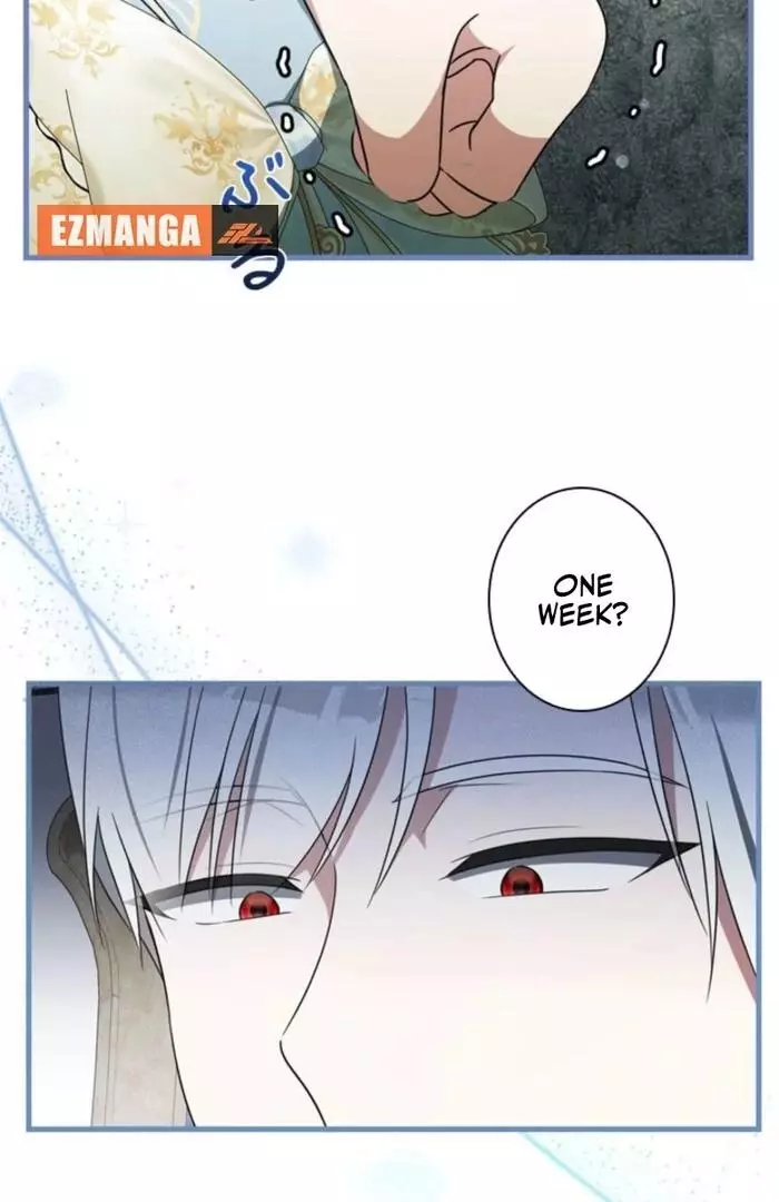 The Count's Beloved Contract Young Lady Chapter 9 page 54