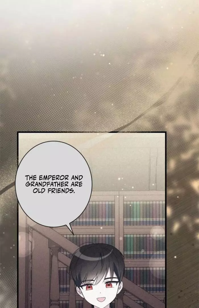 The Count's Beloved Contract Young Lady Chapter 10 page 50