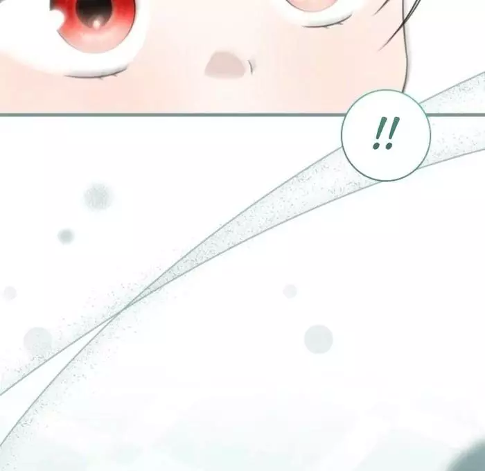 The Count's Beloved Contract Young Lady Chapter 11 page 48