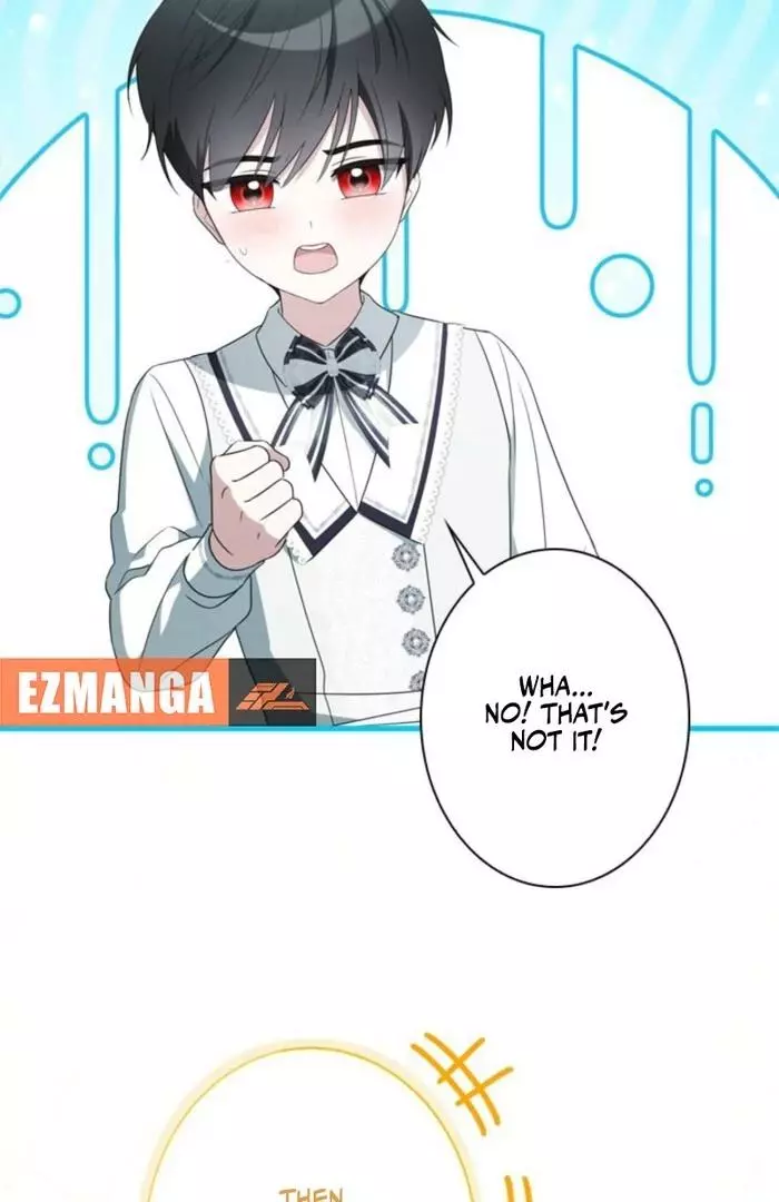 The Count's Beloved Contract Young Lady Chapter 11 page 31