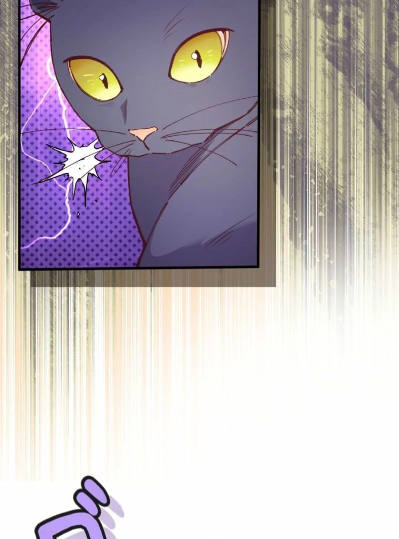 I Will Not be Overshadowed by my Twin Sister in This Life Chapter 13 page 4