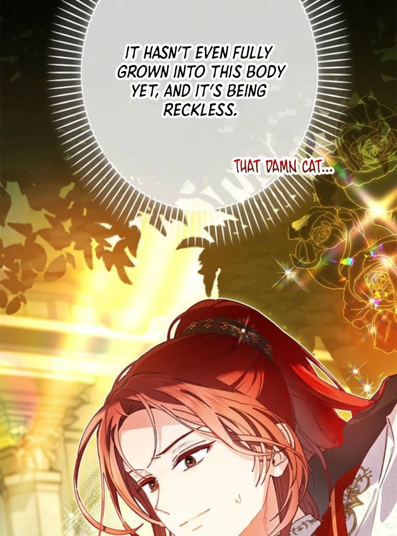 I Will Not be Overshadowed by my Twin Sister in This Life Chapter 13 page 28