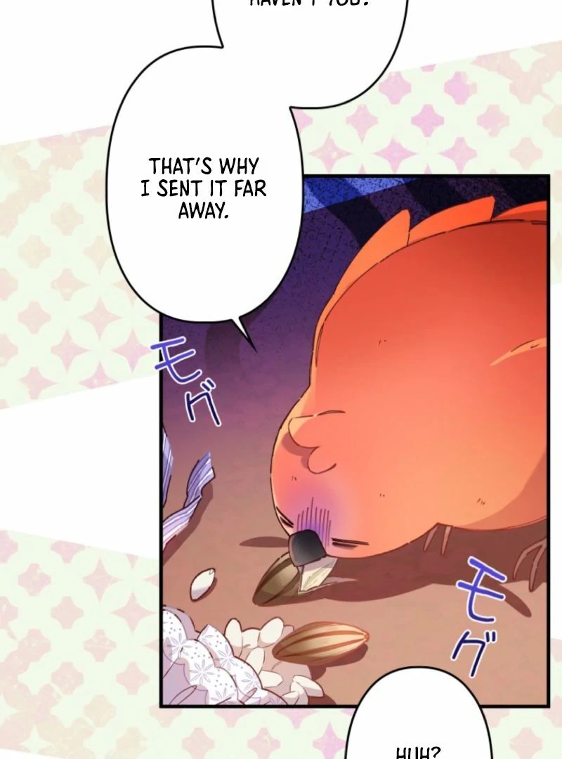 I Will Not be Overshadowed by my Twin Sister in This Life Chapter 13 page 89
