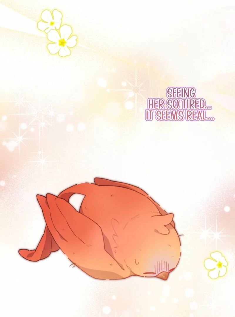 I Will Not be Overshadowed by my Twin Sister in This Life Chapter 13 page 95