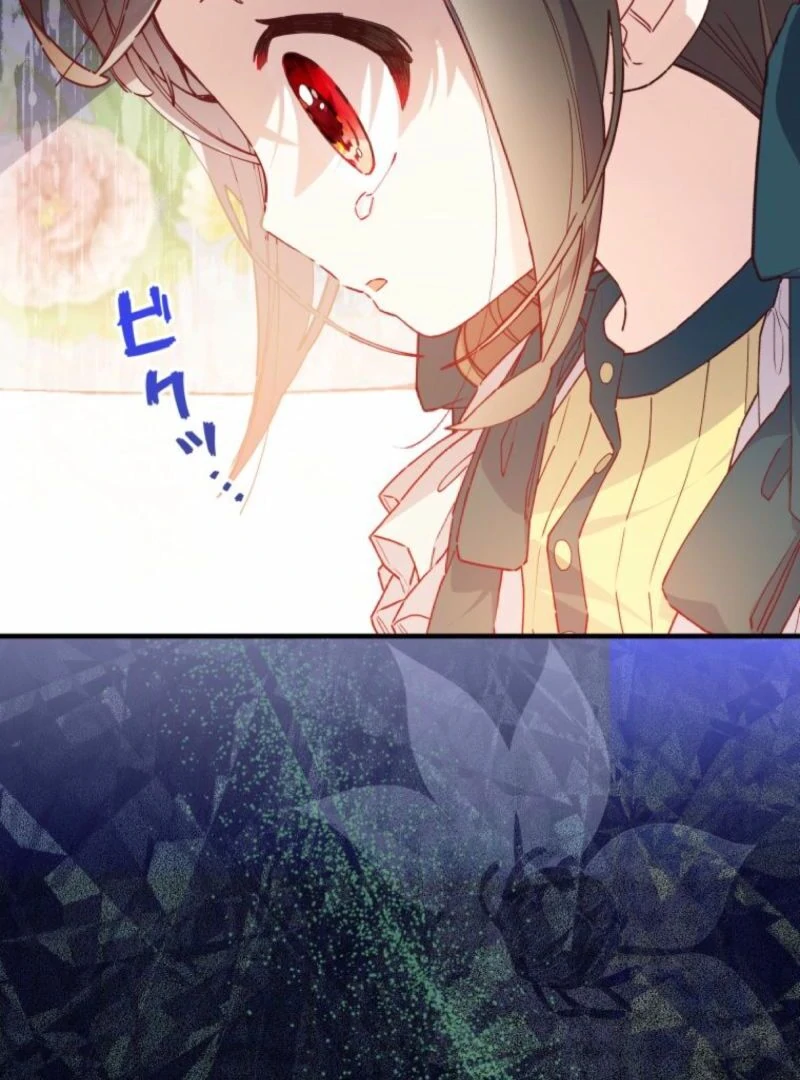I Will Not be Overshadowed by my Twin Sister in This Life Chapter 13 page 64