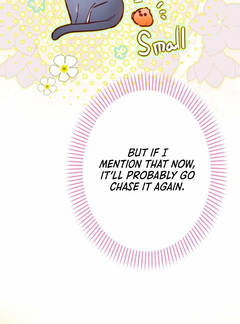 I Will Not be Overshadowed by my Twin Sister in This Life Chapter 13 page 94