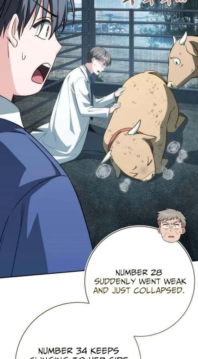 Healing With Deulbi Chapter 14 page 11