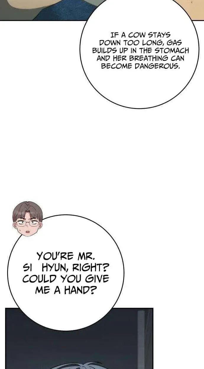 Healing with D’Bly Chapter 14 page 17