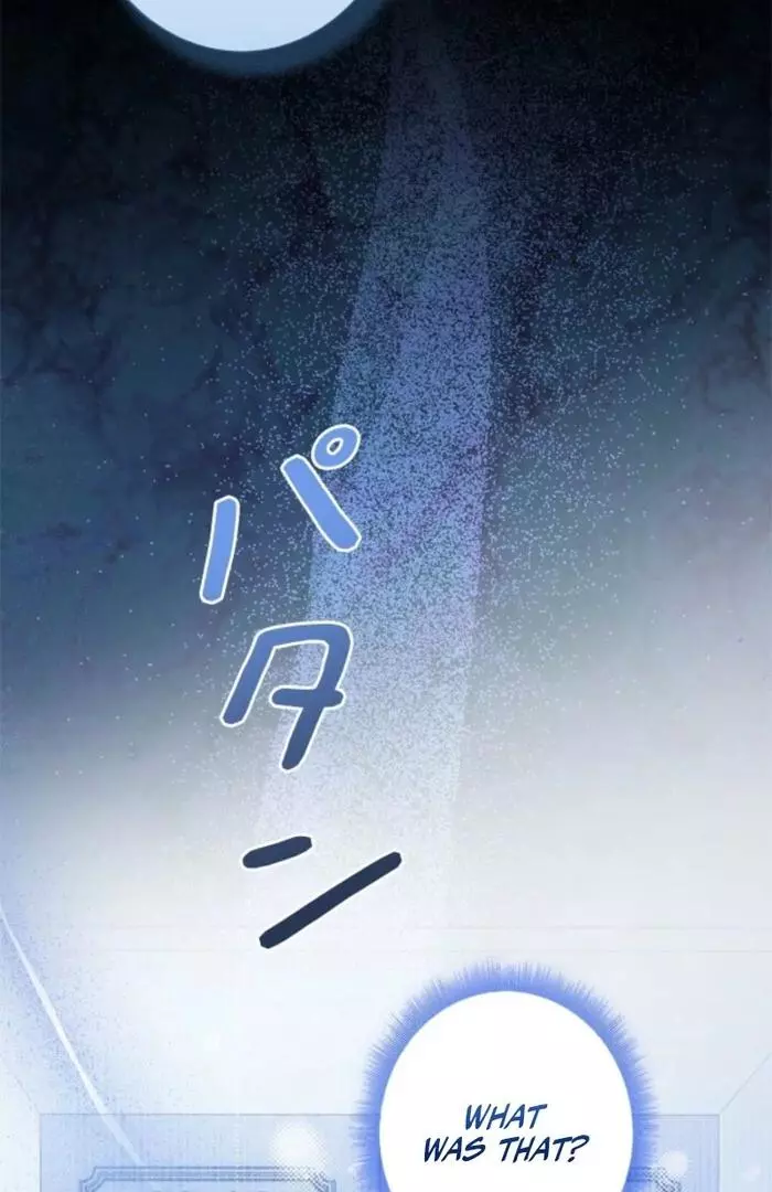 The Count's Beloved Contract Young Lady Chapter 14 page 44