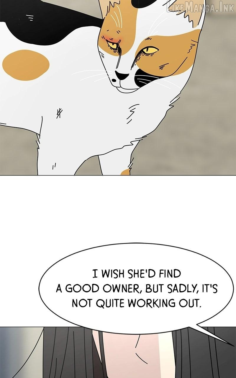 Sol in Wonderland Chapter 15 page 11