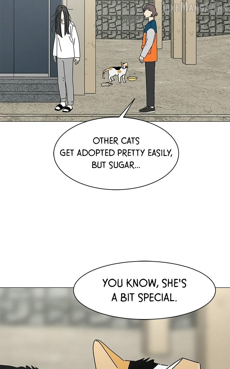 Sol in Wonderland Chapter 15 page 10