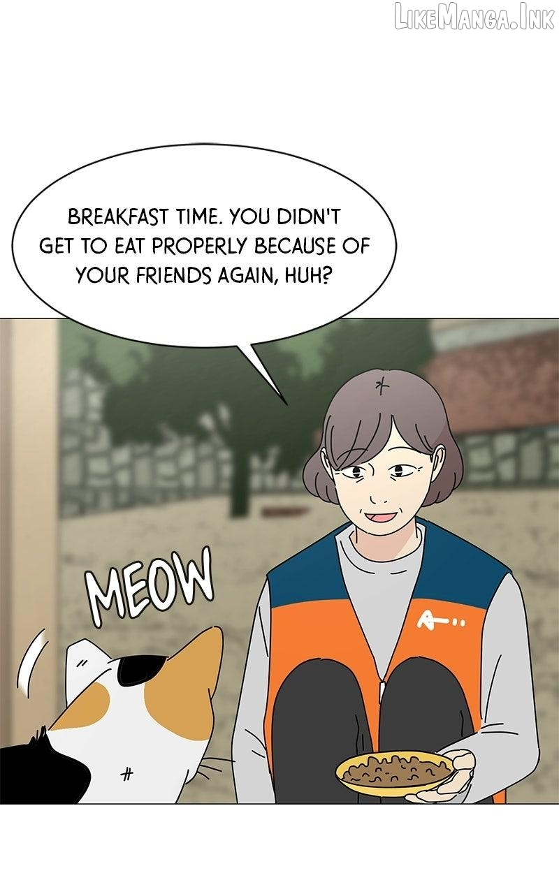 Sol in Wonderland Chapter 15 page 1