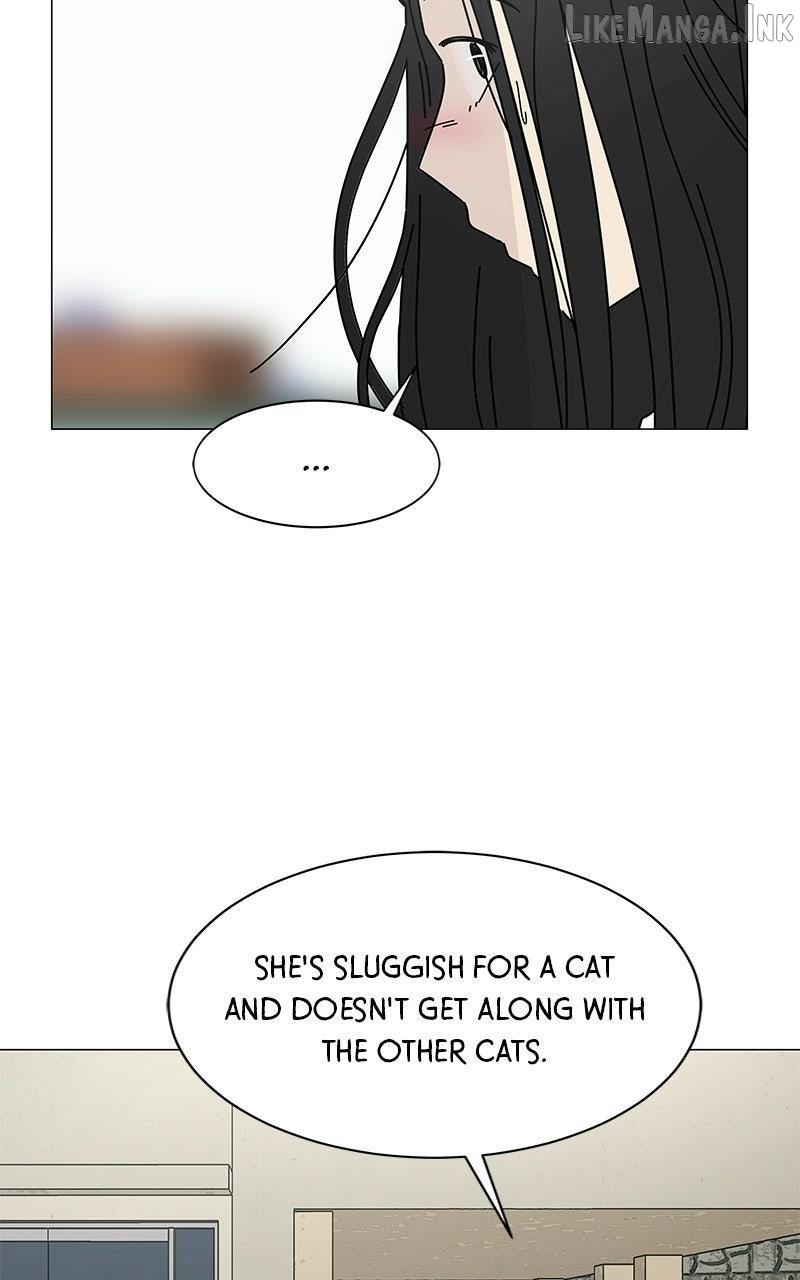 Sol in Wonderland Chapter 15 page 9
