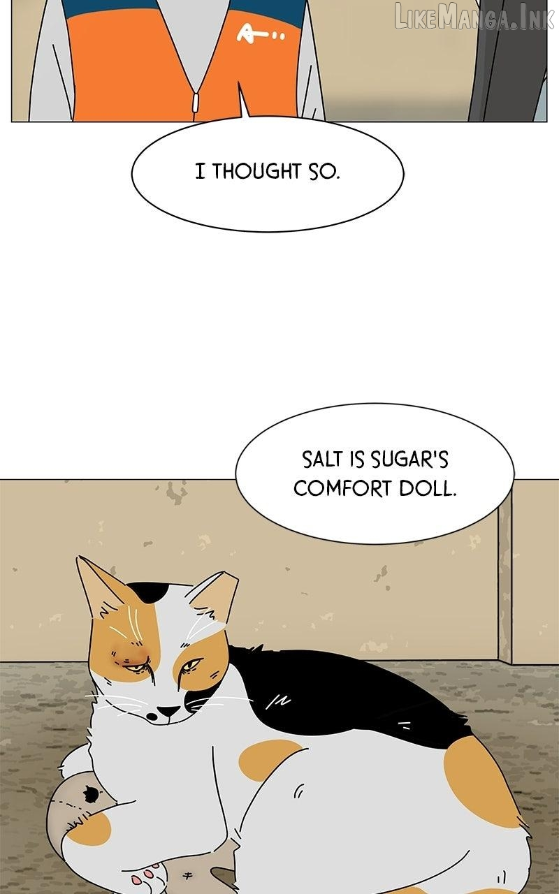 Sol in Wonderland Chapter 15 page 26