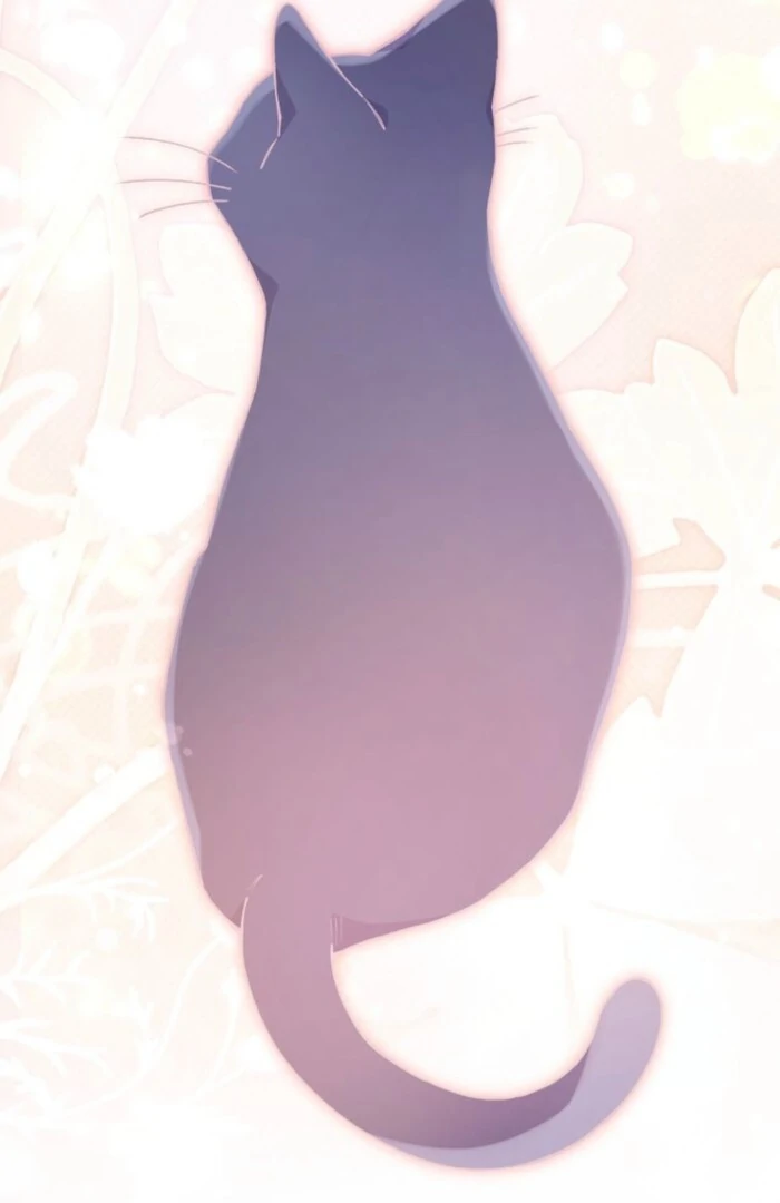 I Will Not be Overshadowed by my Twin Sister in This Life Chapter 16 page 17