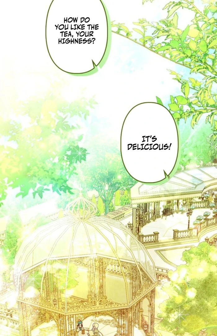 I Will Not be Overshadowed by my Twin Sister in This Life Chapter 16 page 2