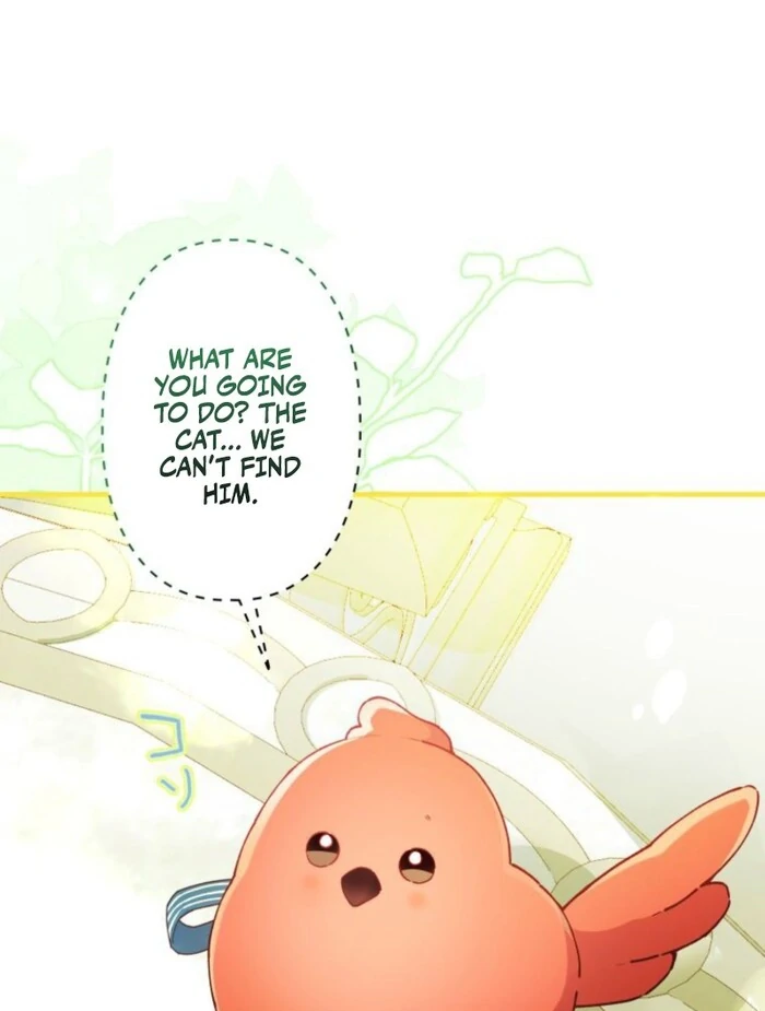 I Will Not be Overshadowed by my Twin Sister in This Life Chapter 16 page 27