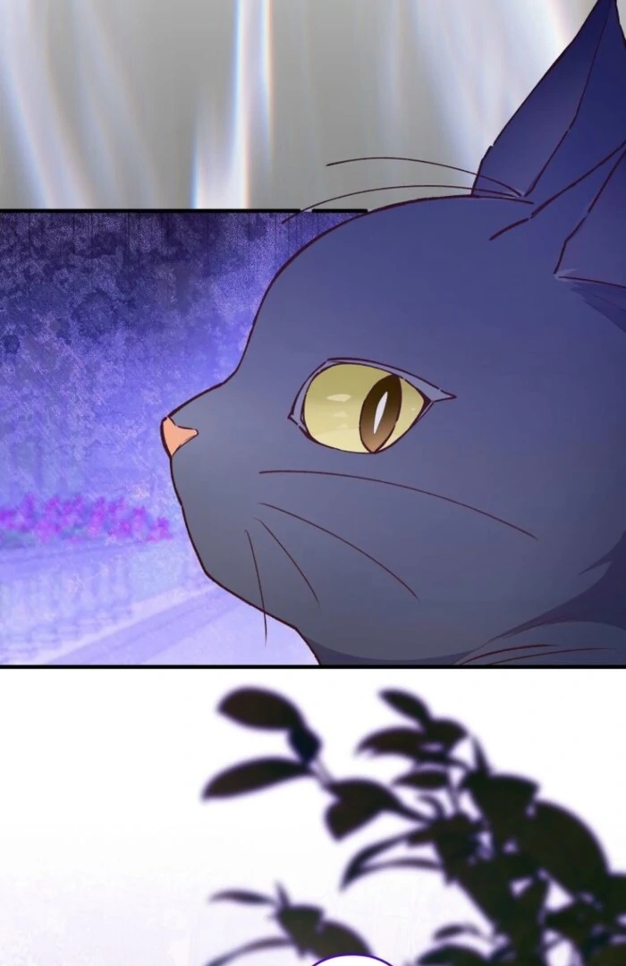 I Will Not be Overshadowed by my Twin Sister in This Life Chapter 16 page 80