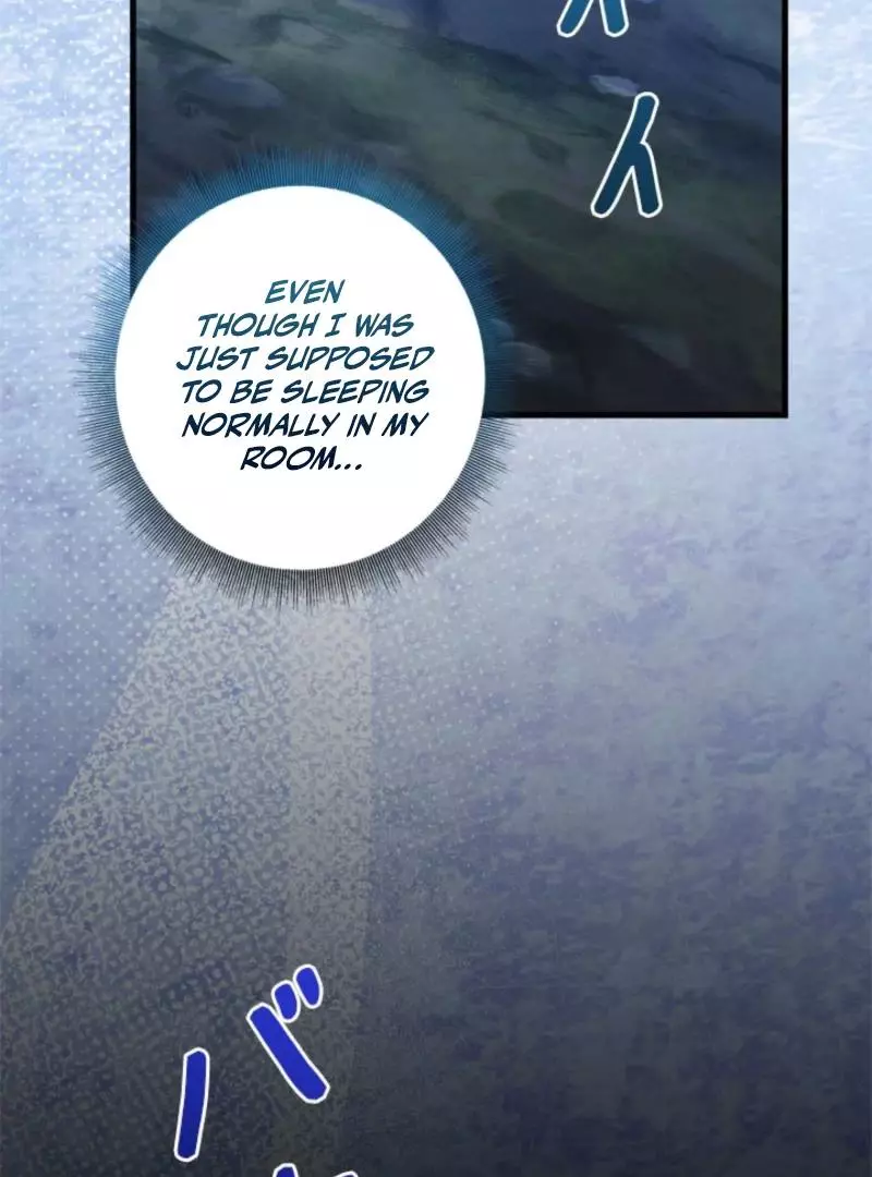 The Count's Beloved Contract Young Lady Chapter 16 page 7