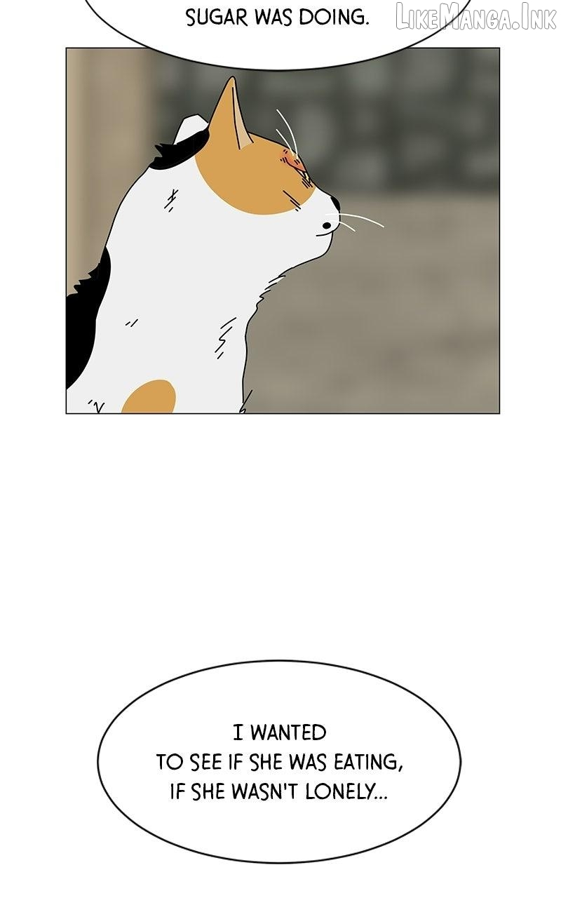 Sol in Wonderland Chapter 16 page 54