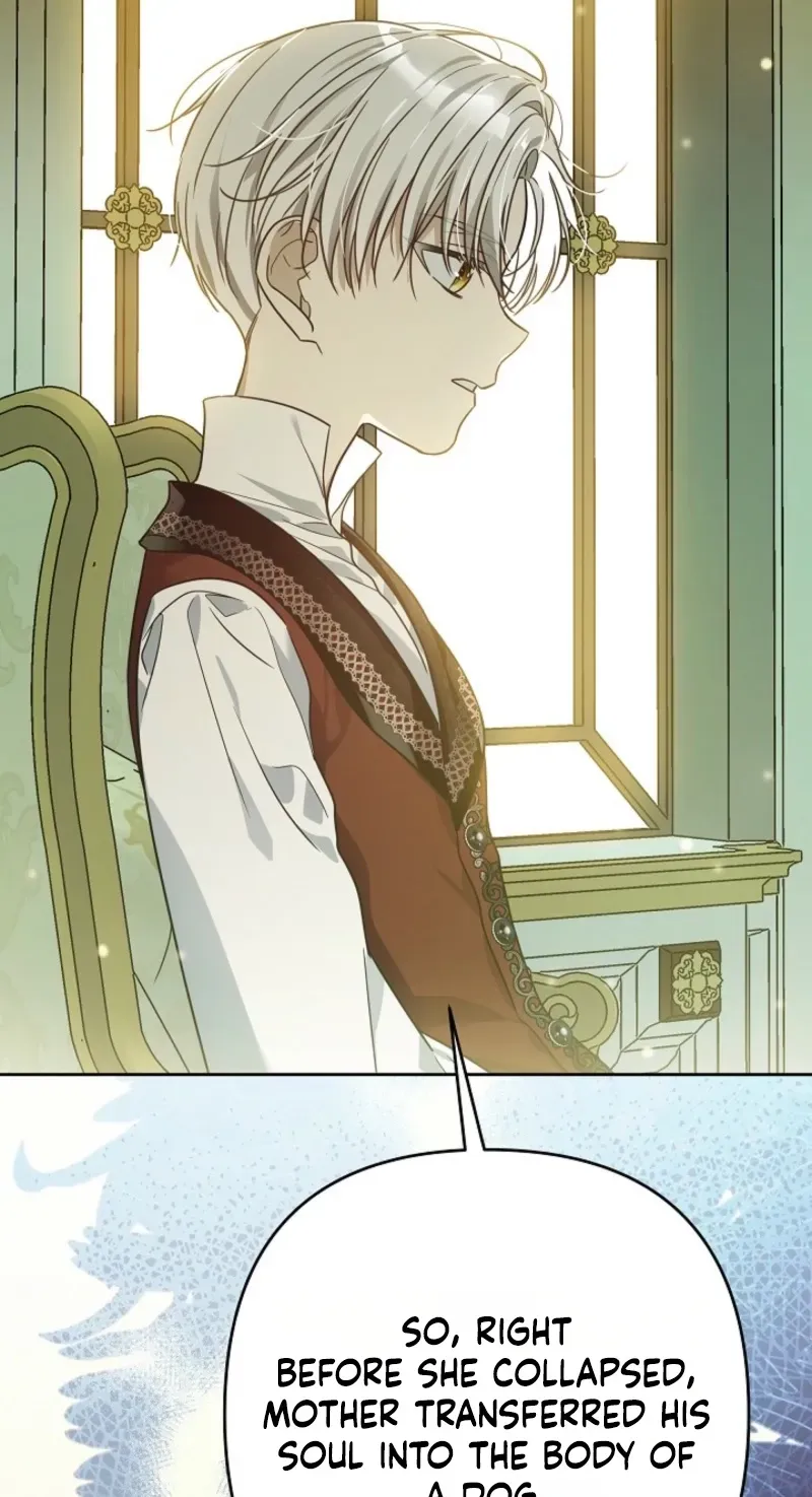 En Travesti - I Became a Fake Prince Chapter 16 page 149