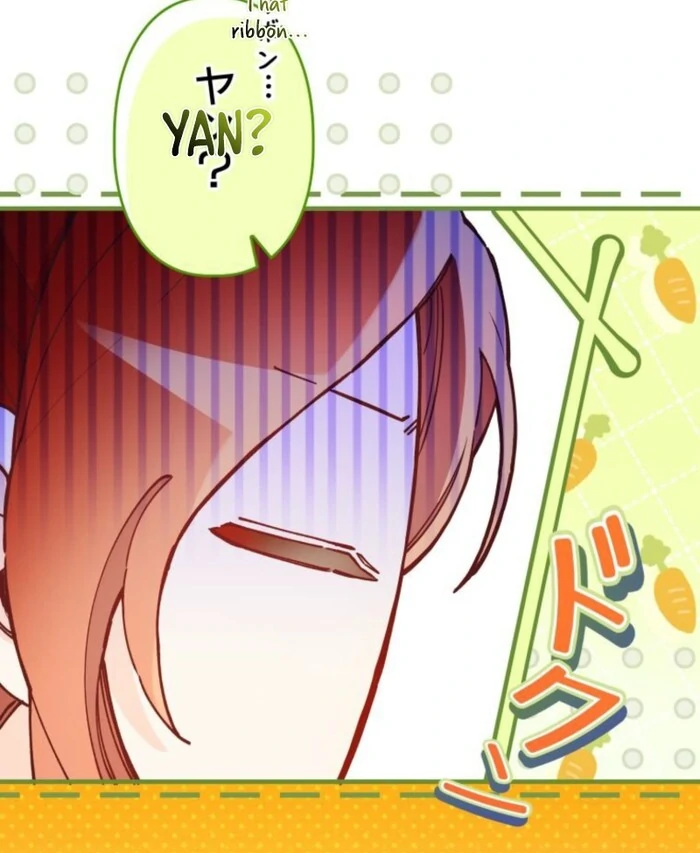 I Will Not be Overshadowed by my Twin Sister in This Life Chapter 17 page 17