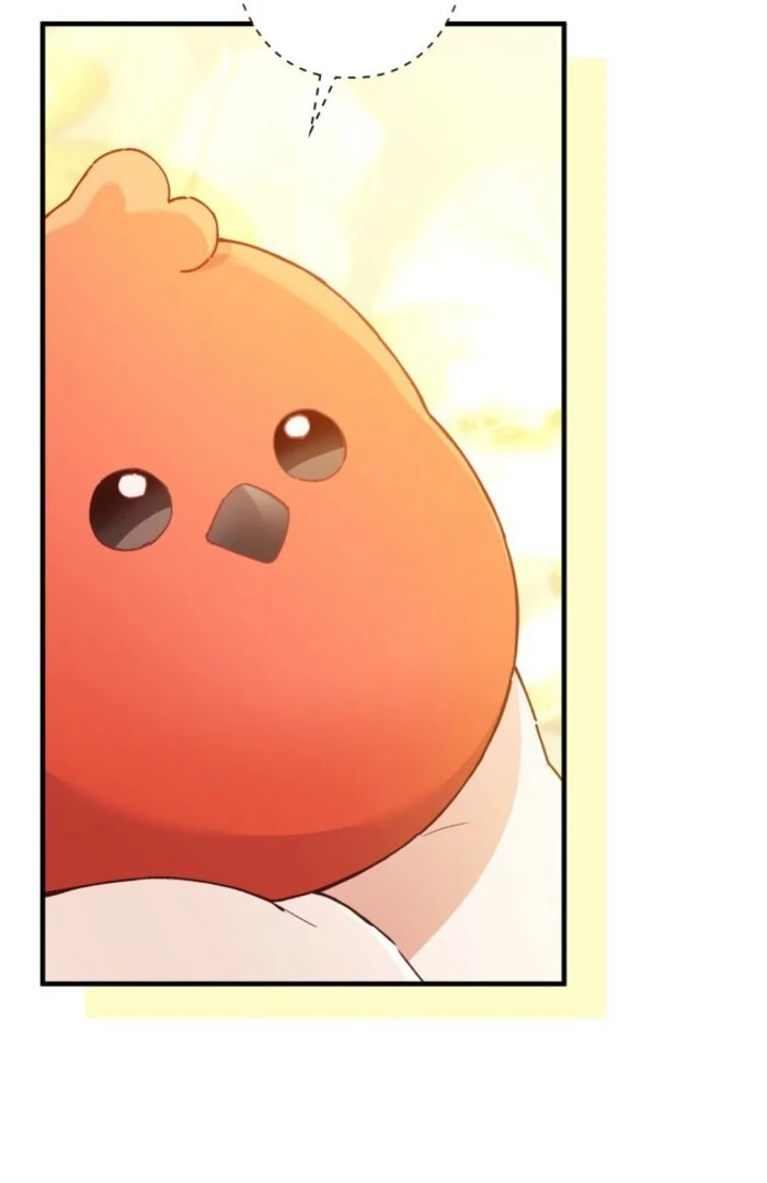 I Will Not be Overshadowed by my Twin Sister in This Life Chapter 17 page 78