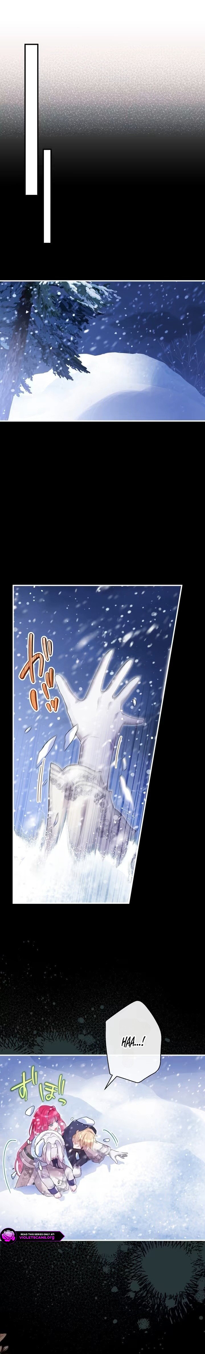 The Lady with a Dual Personality ~When the Strongest Villainess in Me Awoke, Dangerous Men Fell for Me~ Chapter 17 page 20