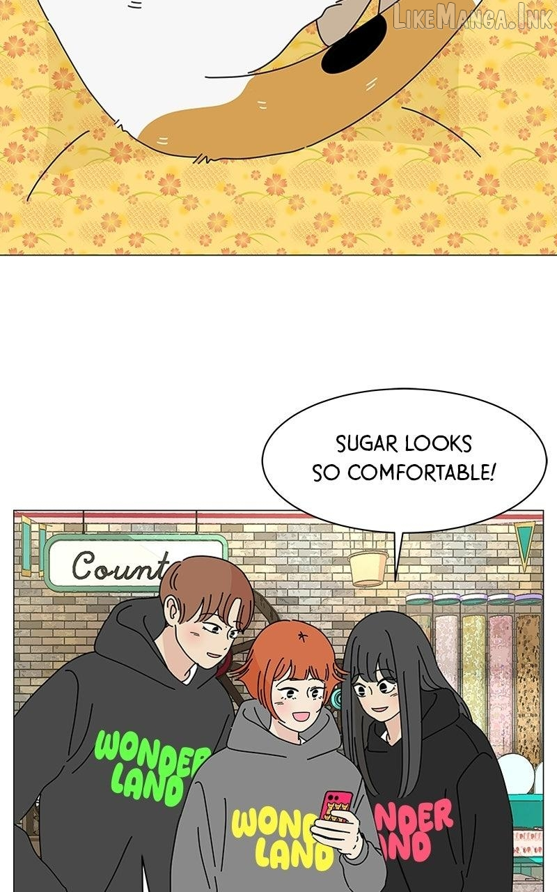 Sol in Wonderland Chapter 17 page 41