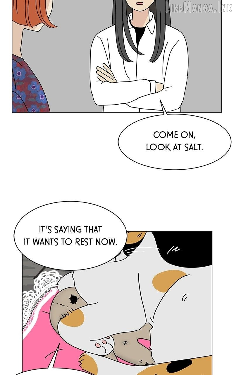 Sol in Wonderland Chapter 17 page 10