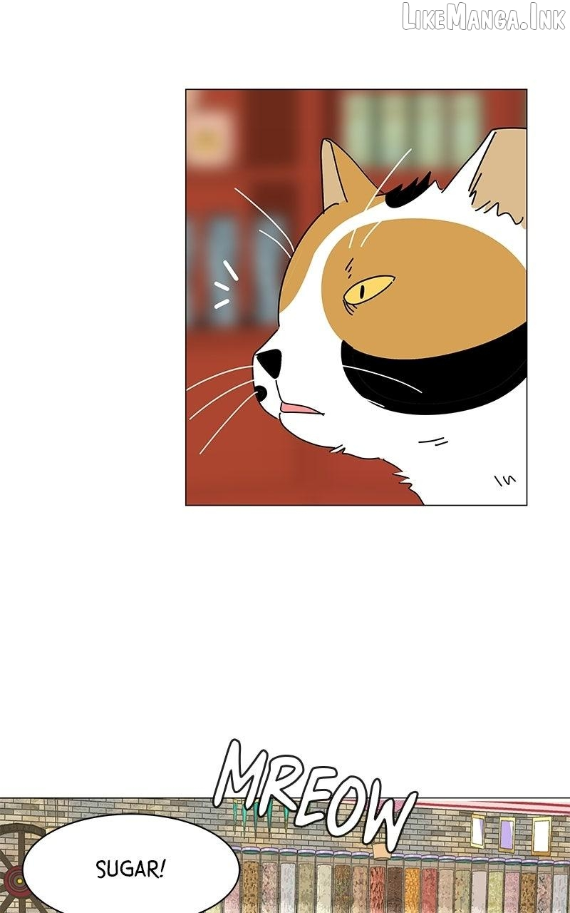 Sol in Wonderland Chapter 17 page 14