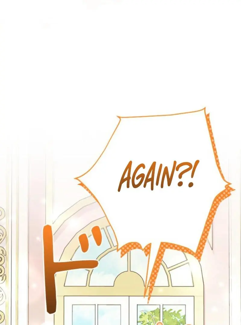 The Count's Beloved Contract Young Lady Chapter 17 page 134