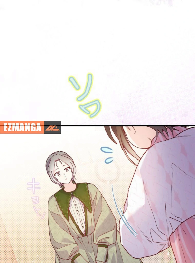 I Will Not be Overshadowed by my Twin Sister in This Life Chapter 19 page 19