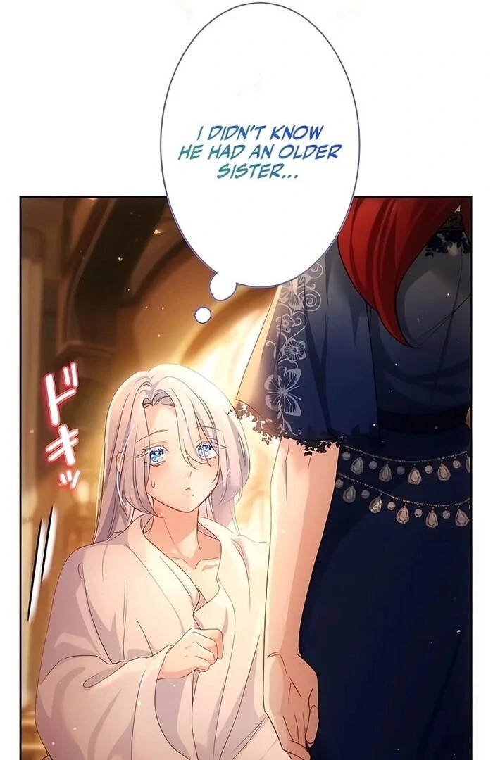 She Is Obsessed With the Possessive Flame Emperor Chapter 19 page 28