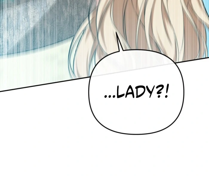 The Strongest Lady Hides Her Strength Chapter 20 page 67