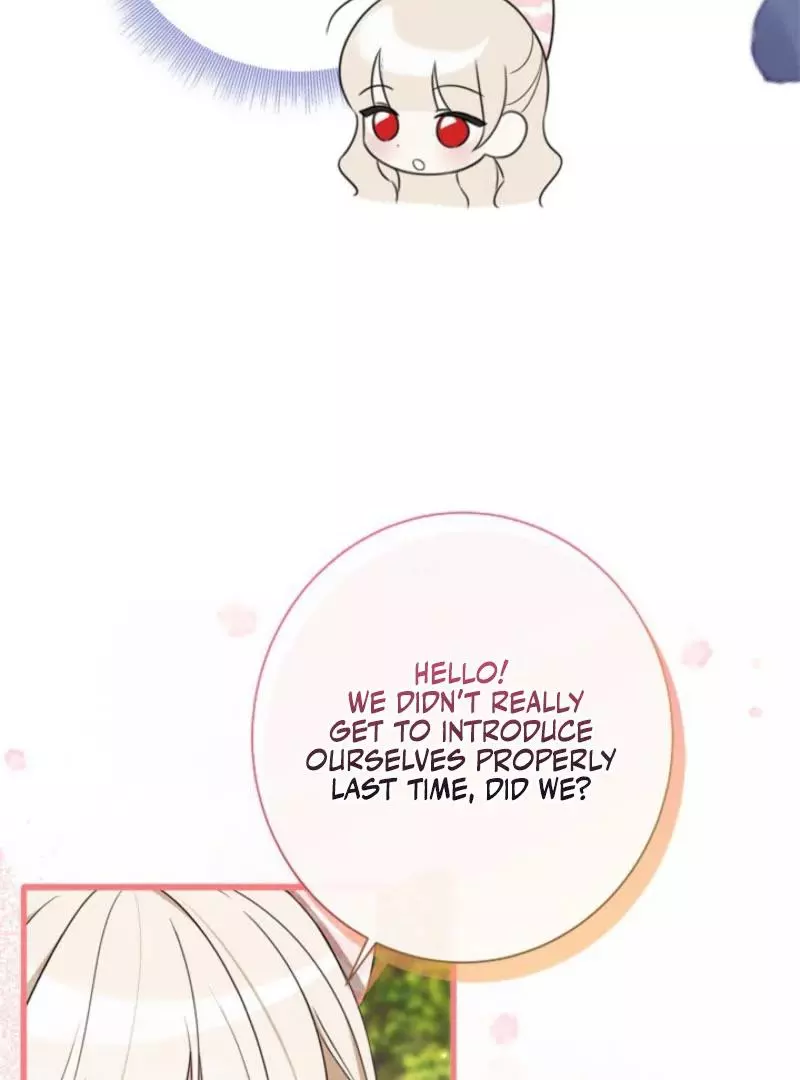 The Count's Beloved Contract Young Lady Chapter 20 page 167