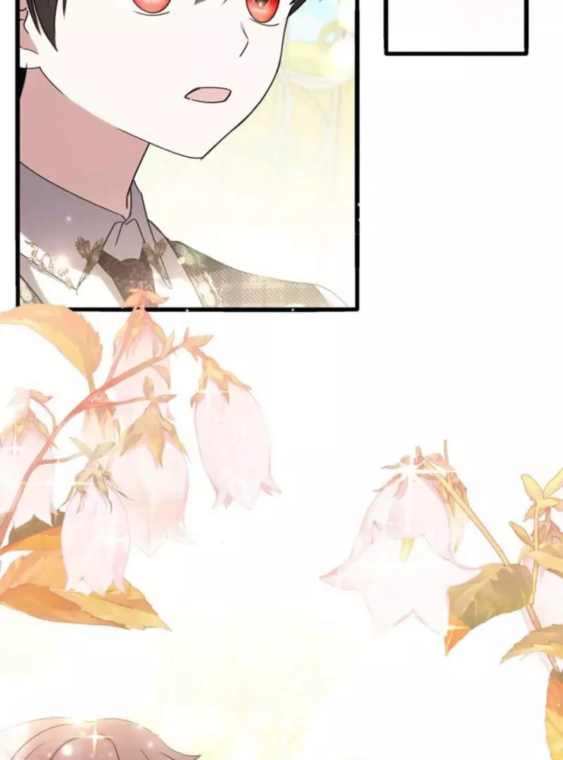 The Count's Beloved Contract Young Lady Chapter 20 page 170