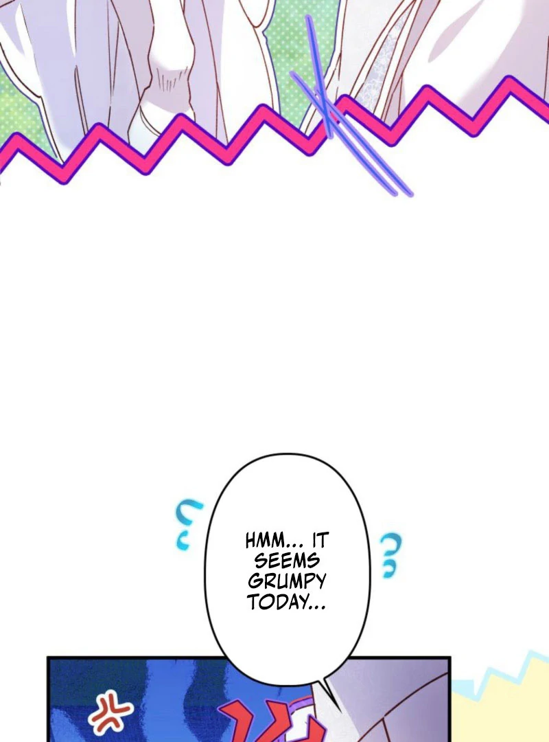 I Will Not be Overshadowed by my Twin Sister in This Life Chapter 21 page 28