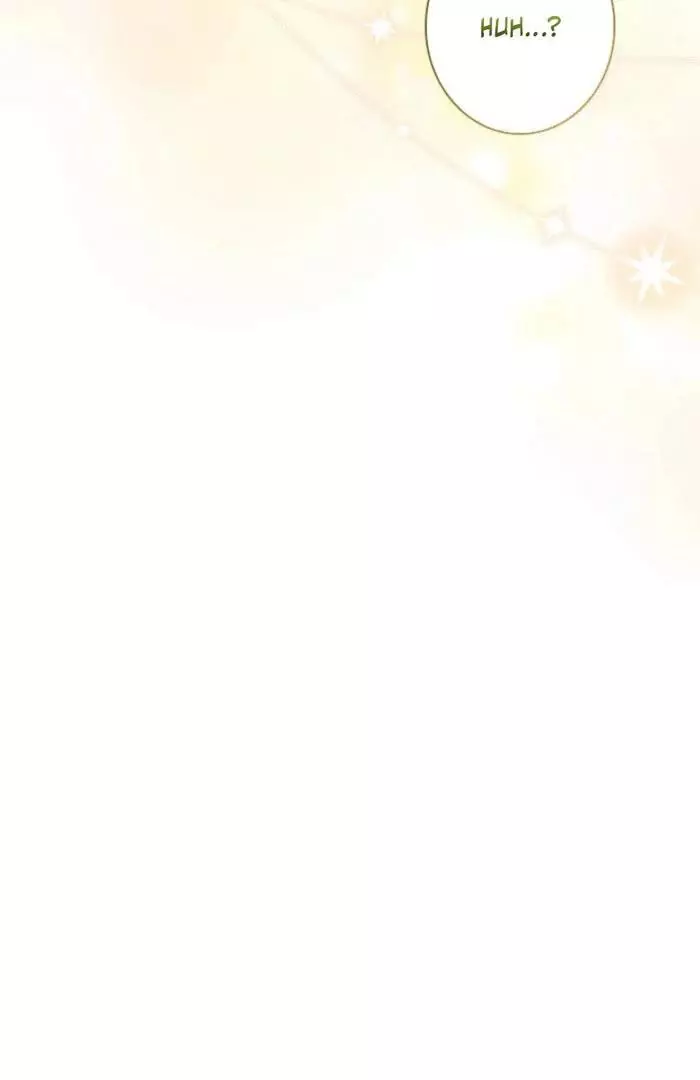 The Count's Beloved Contract Young Lady Chapter 21 page 121
