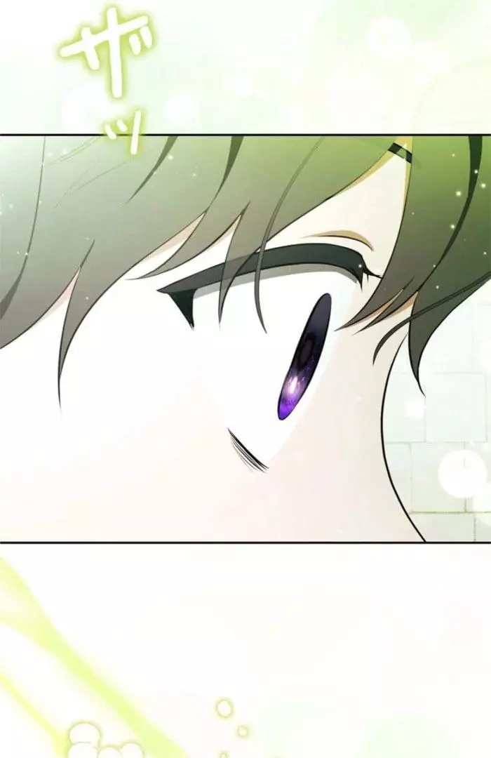 The Count's Beloved Contract Young Lady Chapter 21 page 116