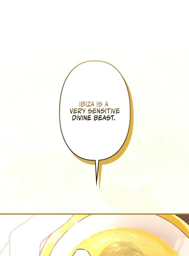 I Will Not be Overshadowed by my Twin Sister in This Life Chapter 22 page 14